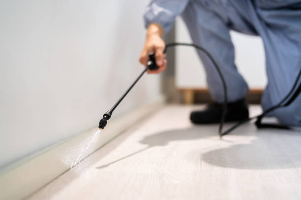 Licensed Pest Control service in Nanticoke, PA - Show Me Pest Control