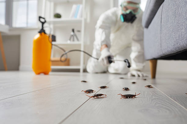 Commercial Kitchen Cockroach Control in Nanticoke